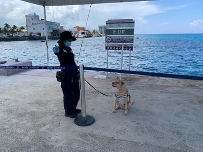 Port DOg 